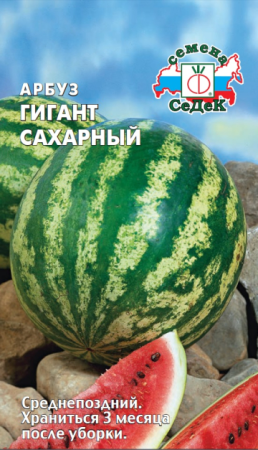 v8_24C0_34bd1