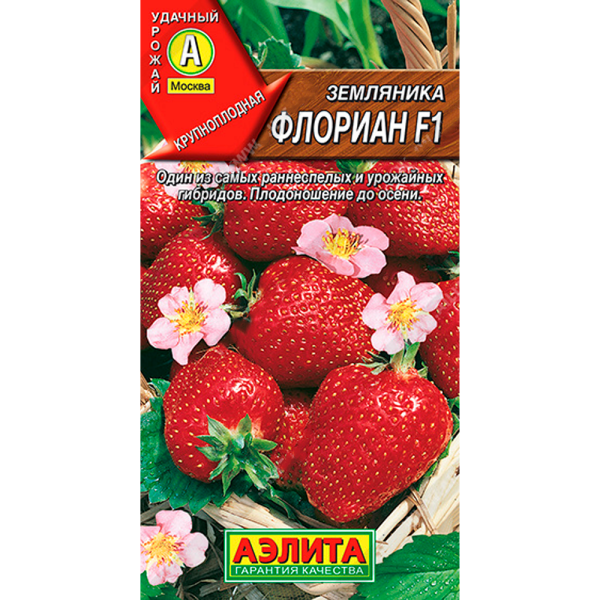Земляника Флориан F1