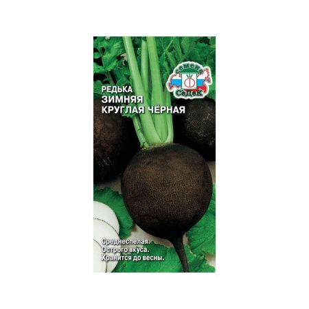 Редька Зимняя Круглая Черная