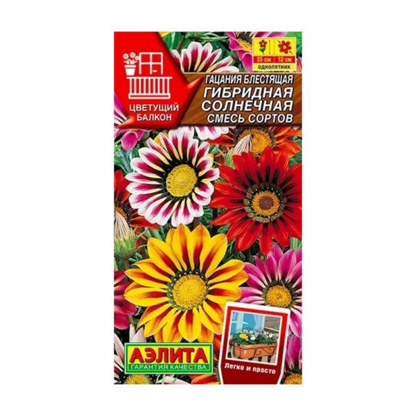 02Аэ1595 Гацания гибридная Солнечная, смесь сортов