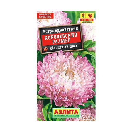 v8_24C0_364f5 v8_24C0_364f5