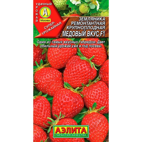 Земляника ремонтантная крупноплодная Медовый вкус F1
