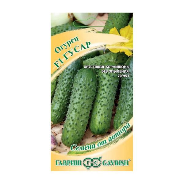 Га013389 Огурец F1 Гусар автор.Н20 (10)