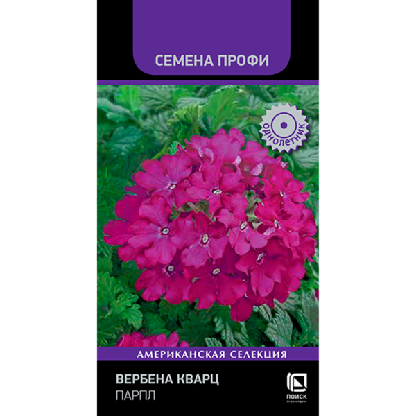 Вербена Кварц Парпл (Семена Профи) (ЦВ) (1) 10шт