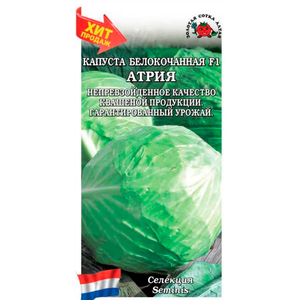 Капуста белокочанная Атрия F1