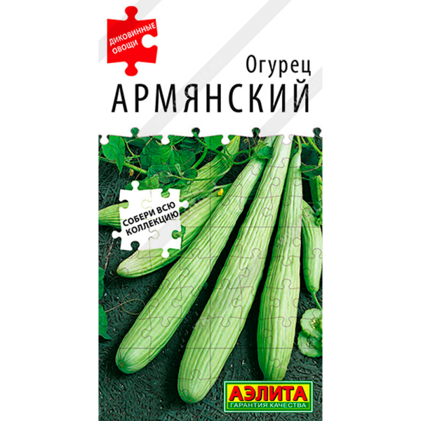 Огурец Армянский  Аэлита