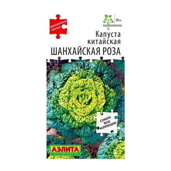 02Аэ1013 Капуста китайская Шанхайская роза Ц-П 0,1г