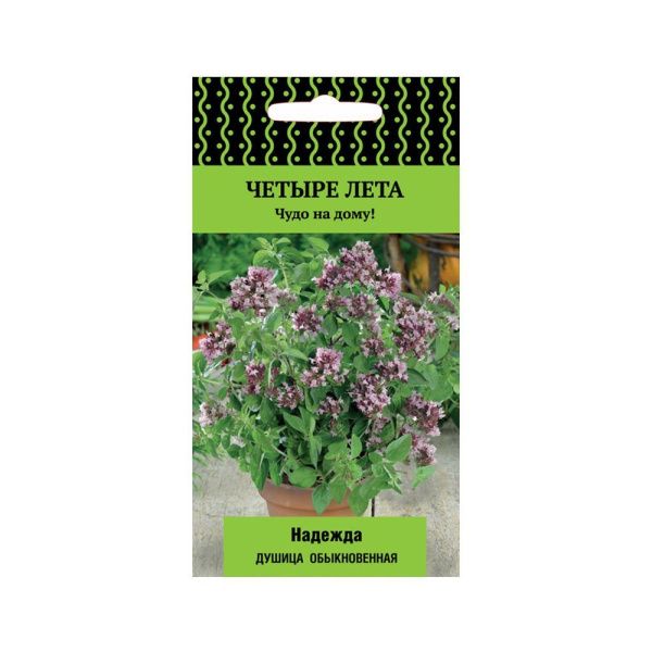 02По5061 Душица обыкновенная  Надежда (сер.Четыре лета) (А) (ЦВ) 20 шт.