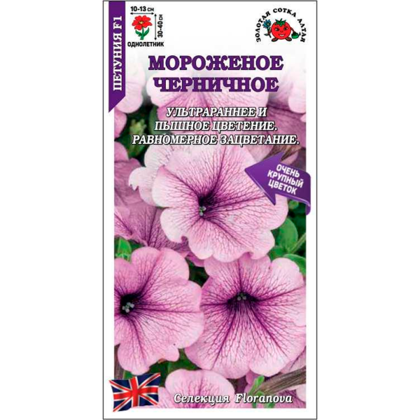 Петуния Мороженое Черничное