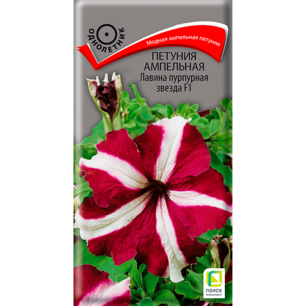 Петуния ампельная Лавина пурпурная звезда F1 (ЦВ) (1) 10шт