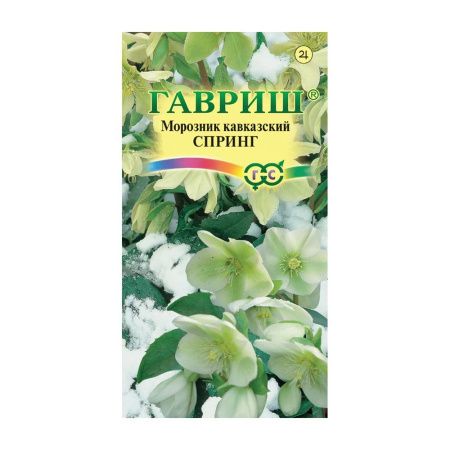 Га019856 Морозник Спринг лимонно-зеленый восточный (кавказский) 0,1 г DHп