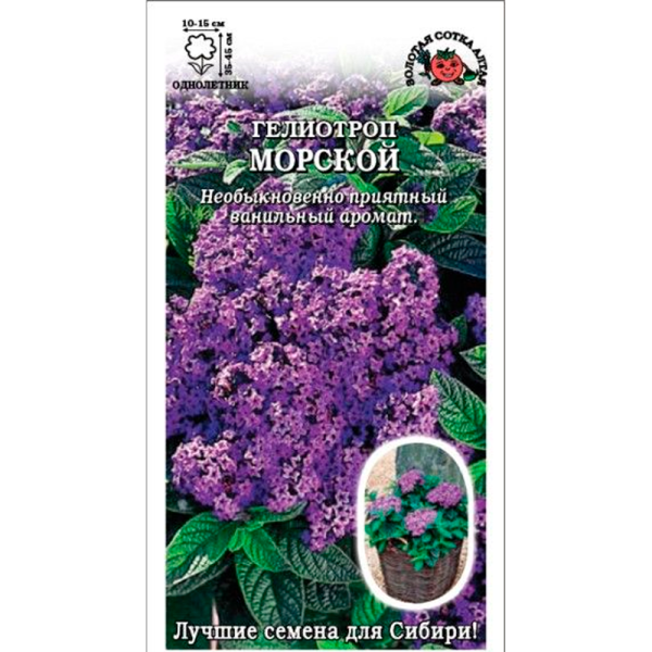 Гелиотроп Морской