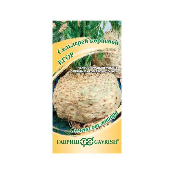 Сельдерей корневой Егор