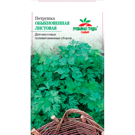 Петрушка Обыкновенная листовая (МФ, 2)