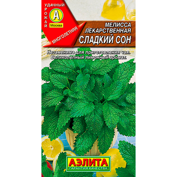 Мелисса лекарственная Сладкий сон