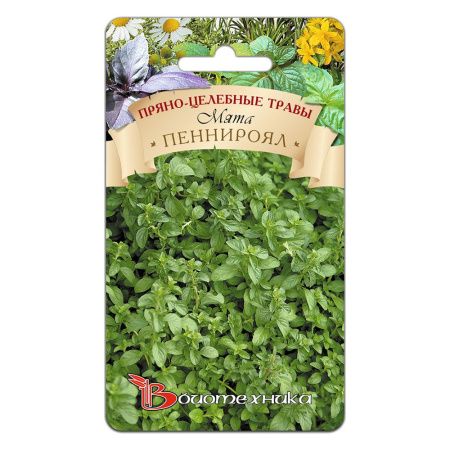 02Би2895 Мята Пеннироял NDS