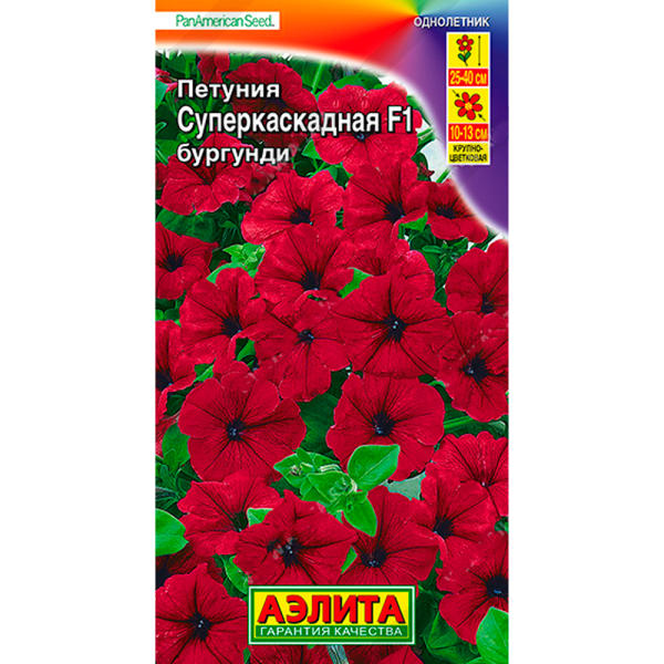 Петуния F1 суперкаскадная бургунди