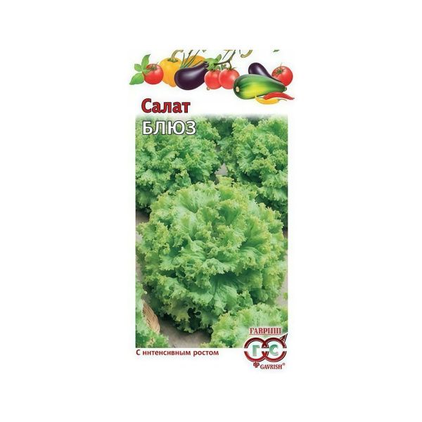 Га031593 Салат Блюз 0,5 г, листовой