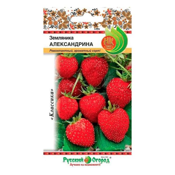 02Ру3649 Земляника Александрина (0,05г)
