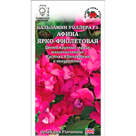 Бальзамин Афина Ярко-Фиолетовый