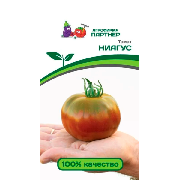 Томат НИАГУС