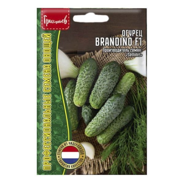 02Гр3016 Огурец Brandino F1 Seminis  5шт.-НОВИНКА NDS