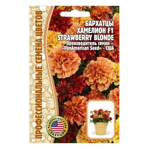 02Гр2960 Бархатцы Хамелеон Strawberry Blonde F1 5 шт. NDS