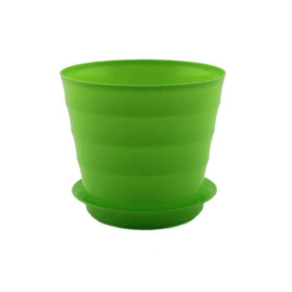 ЛР11-50 Лаура 0,7 л Лайм д.11,5 н.10, пластиковый горшок с поддоном (16 уп-128 кор)