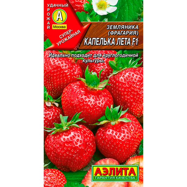 Земляника ремонтантная крупноплодная Капелька лета F1