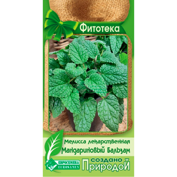 Мелисса лекарственная МАНДАРИНОВЫЙ БАЛЬЗАМ