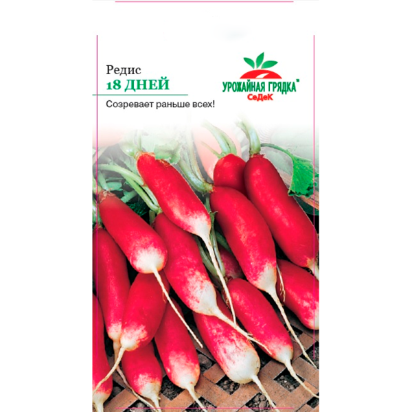 Редис 18 Дней (Евро, 3)