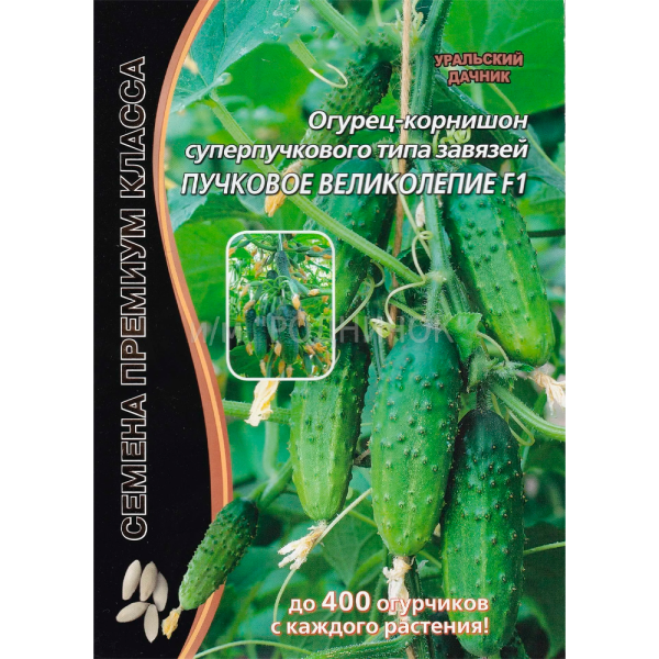 Огурец Пучковое великолепие F1