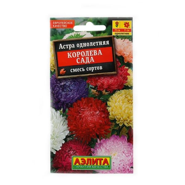 02Аэ1609 Астра Королева сада, смесь сортов