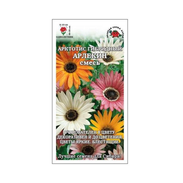 02Зо0588 Арктотис Арлекин сотка