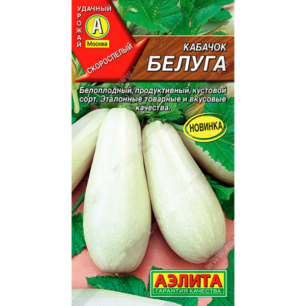 Кабачок белоплодный Белуга