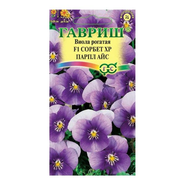 Га014652 Виола Сорбет XP Парпл Айс F1 рогатая (Анютины глазки) 4 шт
