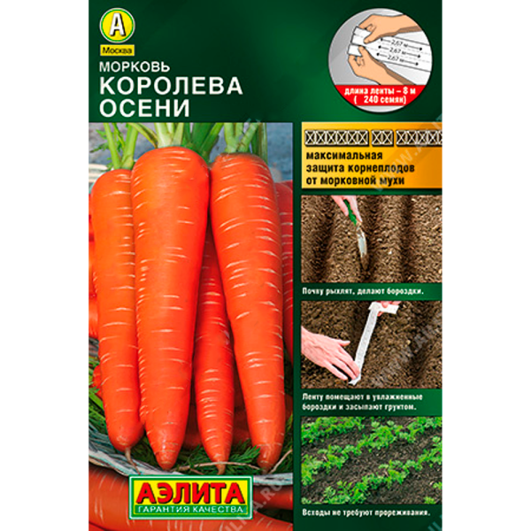 Морковь Королева осени Лента