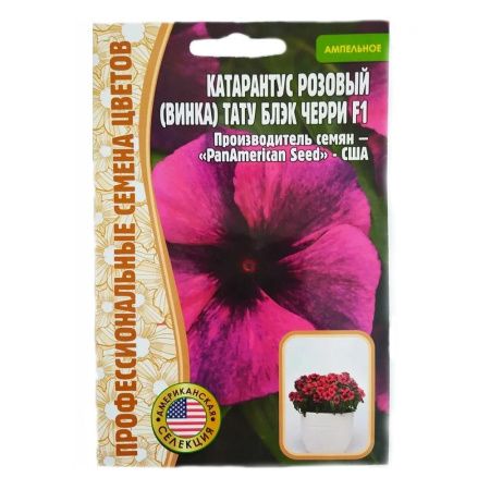 02Гр2998 Катарантус Tattoo Black Cherry F1  5шт NDS