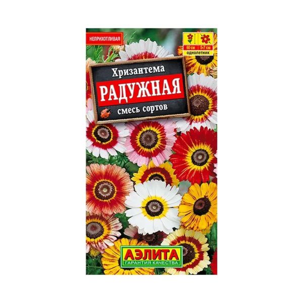 02Аэ1669 Хризантема Радужная, смесь сортов