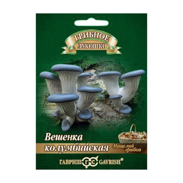 Га014230 Вешенка Колумбийская на древесной палочке, больш. пак. 12 шт