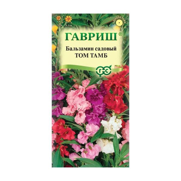 Га019959 Бальзамин Том Тамб (садовый) карлик. 0,1г DH