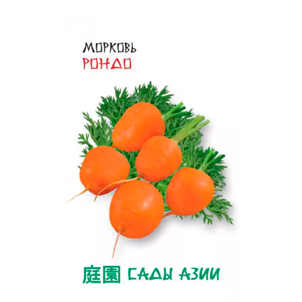 Морковь ”Рондо”