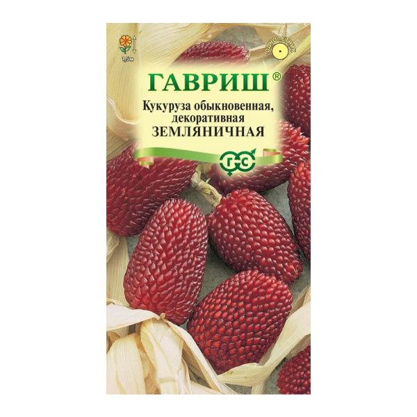 Га013417 Кукуруза обыкновенная декоративная Земляничная