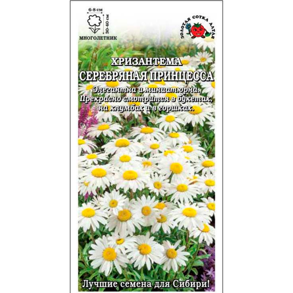 Хризантема Серебряная Принцесса