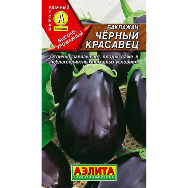 Баклажан Черный красавец