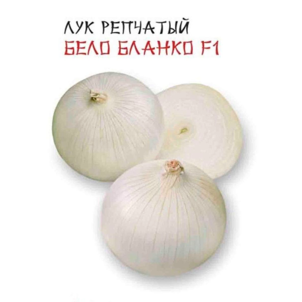 Лук репчатый “Бело бланко” F1