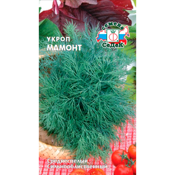 Укроп Мамонт (МФ, 2)