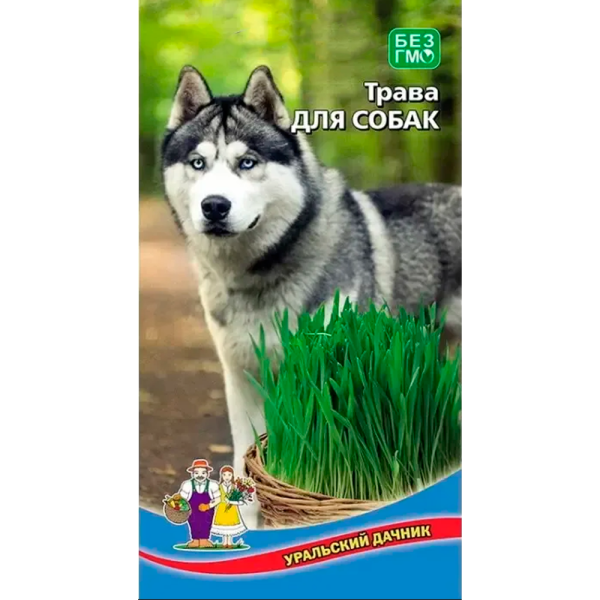 Трава Для Собак