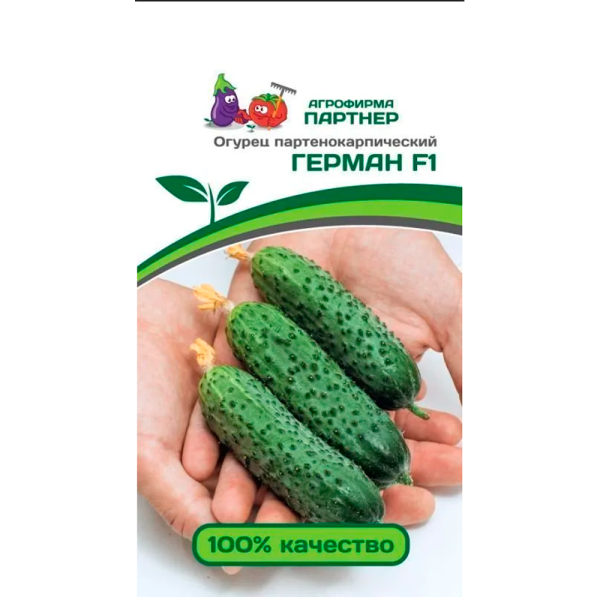 Огурец ГЕРМАН F1 (5шт)