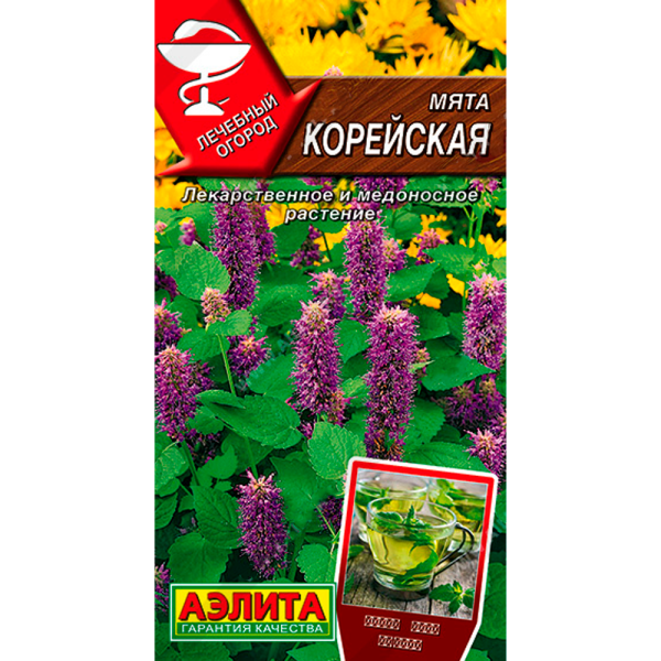 Мята Корейская